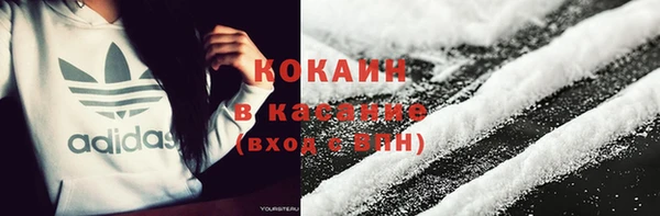 стаф Козельск