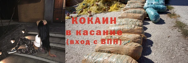 стаф Козельск