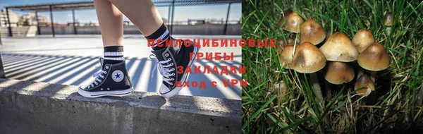 гашиш Кодинск